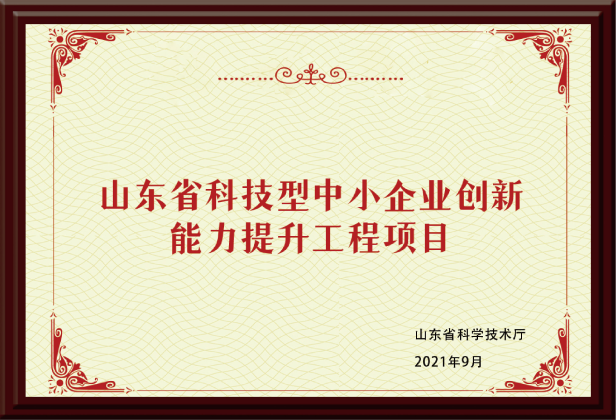 山东省科技型中小企业创新能力提升工程项目